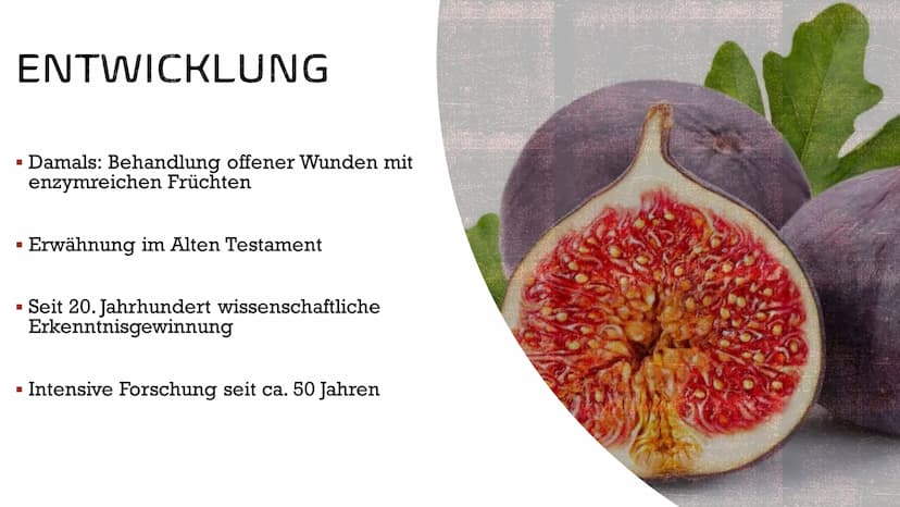 ENZYME
IN DER
MEDIZIN AGENDA
▪ Allgemeines
Entwicklung
Funktionen im Körper
▪ Anwendungsgebiete
Verabreichung
Konkrete Beispiele
■
■
■
■
■
I