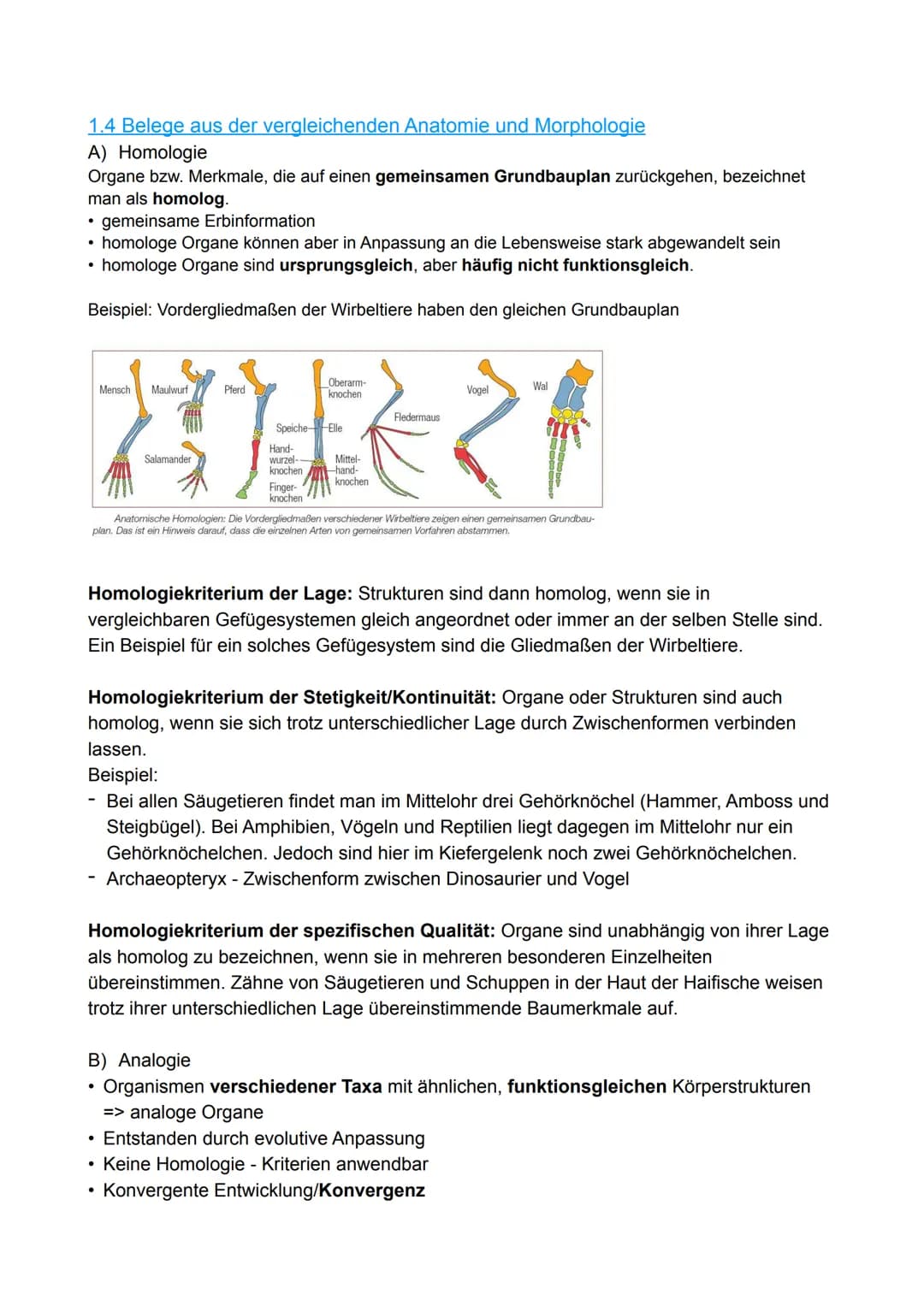 1. Evolutionsforschung
1.1 Fossilien
1.2 Artenvielfalt und ihre Ordnung im natürlichen System
1.3 Evolutionsforscher
Evolution
1.4 Belege au
