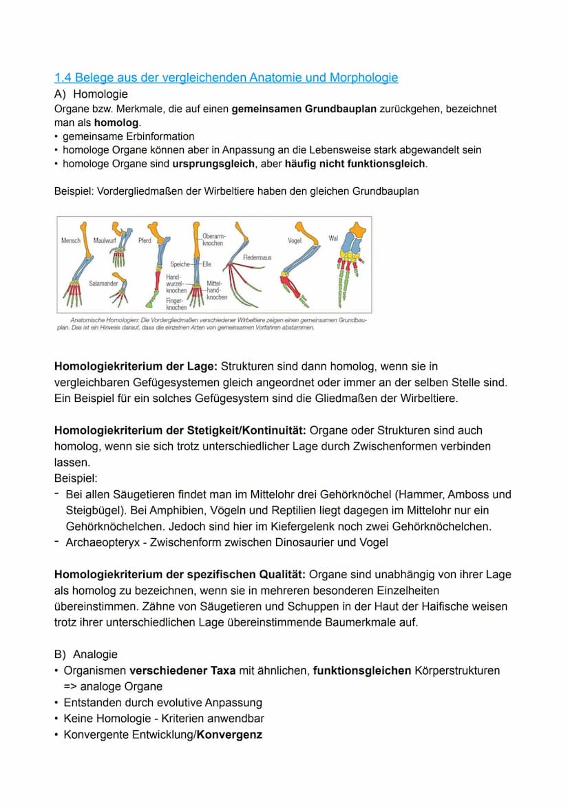 1. Evolutionsforschung
1.1 Fossilien
1.2 Artenvielfalt und ihre Ordnung im natürlichen System
1.3 Evolutionsforscher
Evolution
1.4 Belege au