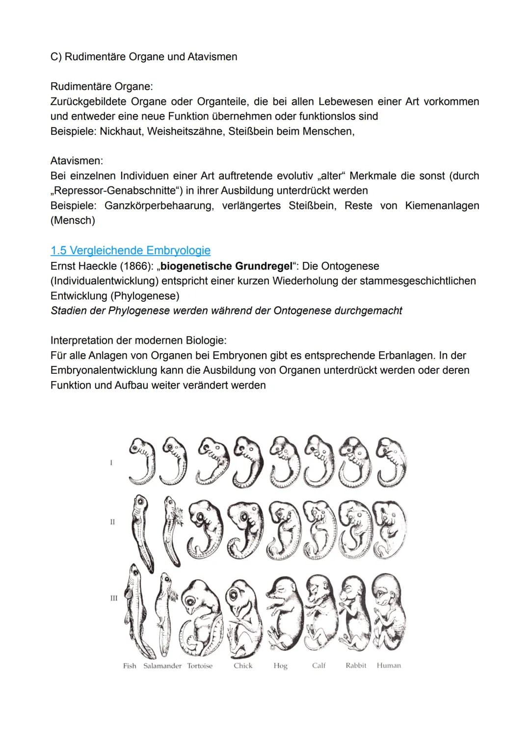 1. Evolutionsforschung
1.1 Fossilien
1.2 Artenvielfalt und ihre Ordnung im natürlichen System
1.3 Evolutionsforscher
Evolution
1.4 Belege au