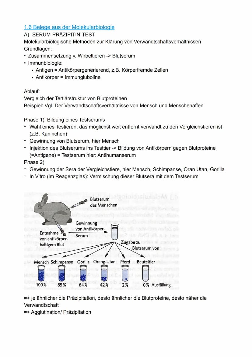 1. Evolutionsforschung
1.1 Fossilien
1.2 Artenvielfalt und ihre Ordnung im natürlichen System
1.3 Evolutionsforscher
Evolution
1.4 Belege au