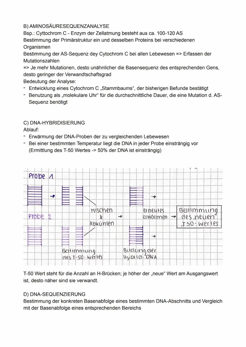 1. Evolutionsforschung
1.1 Fossilien
1.2 Artenvielfalt und ihre Ordnung im natürlichen System
1.3 Evolutionsforscher
Evolution
1.4 Belege au