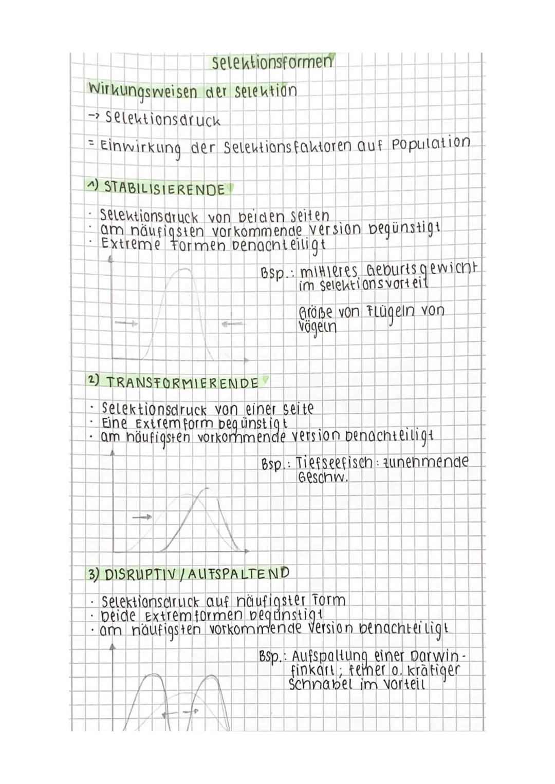 1. Evolutionsforschung
1.1 Fossilien
1.2 Artenvielfalt und ihre Ordnung im natürlichen System
1.3 Evolutionsforscher
Evolution
1.4 Belege au