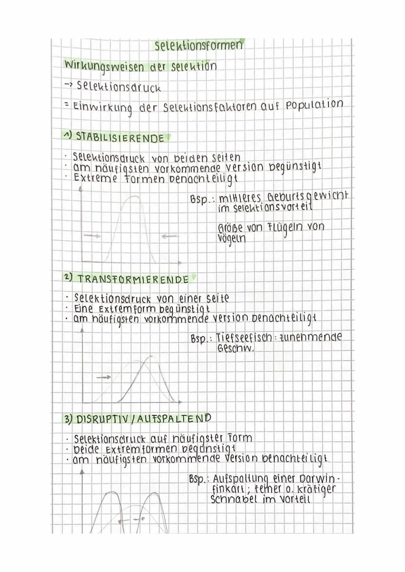 1. Evolutionsforschung
1.1 Fossilien
1.2 Artenvielfalt und ihre Ordnung im natürlichen System
1.3 Evolutionsforscher
Evolution
1.4 Belege au