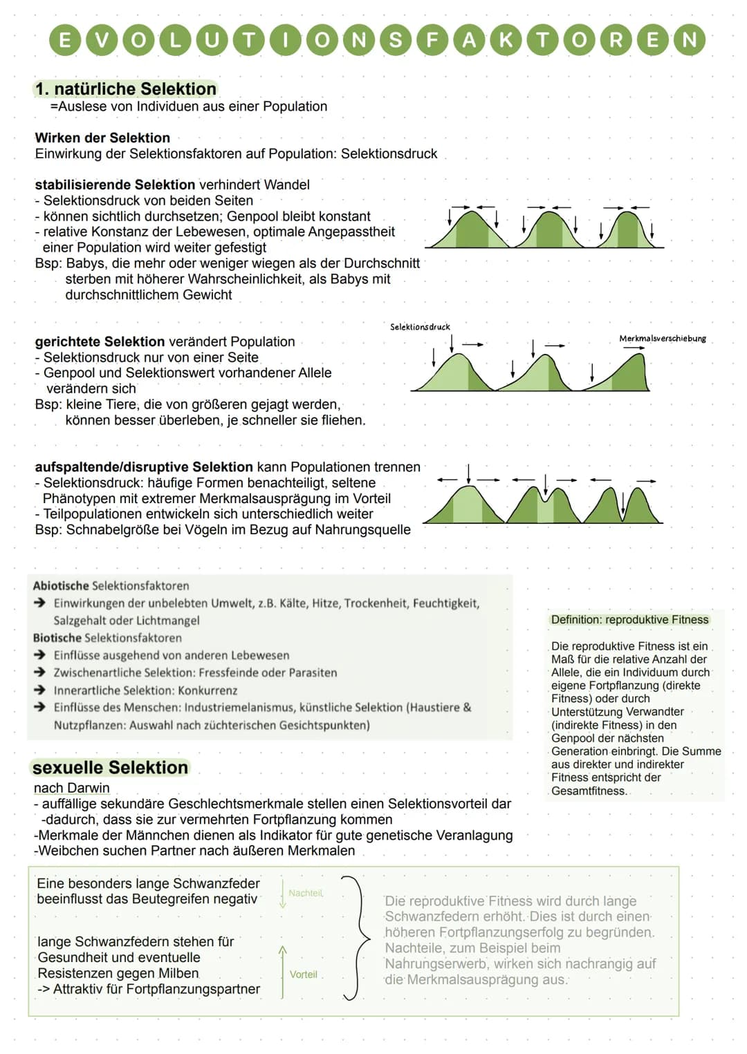 EVOLUTIONSFAKTOREN
1. natürliche Selektion
=Auslese von Individuen aus einer Population
Wirken der Selektion
Einwirkung der Selektionsfaktor
