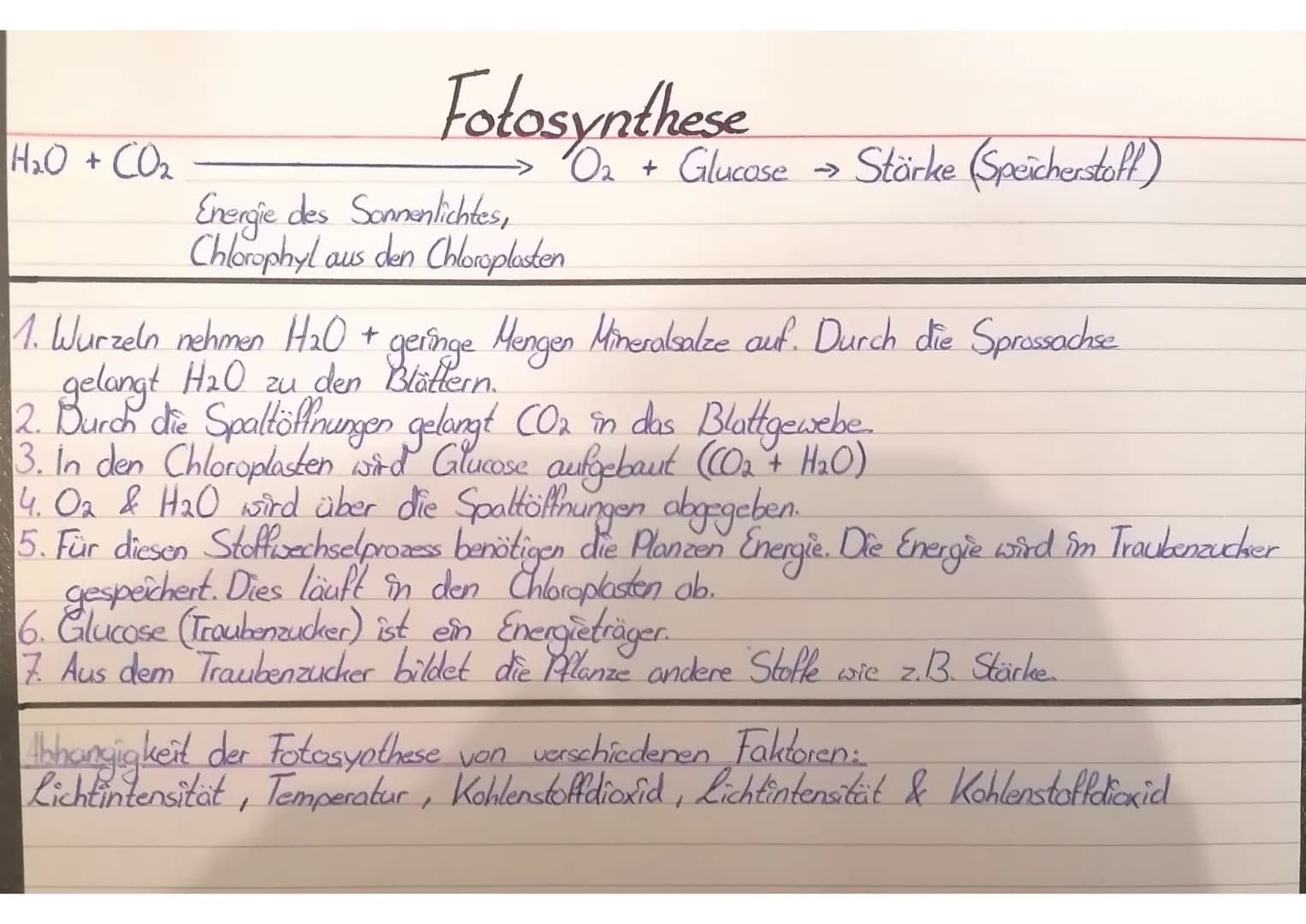 Biologie
Van Helmont: Baum: 2,5kg nach
Erde: 100kg
5 Jahren
Jan Ingenhousz:
Die Kerze lässt sich
nur beim 1. Versuch
anzünden.
Joseph Priest