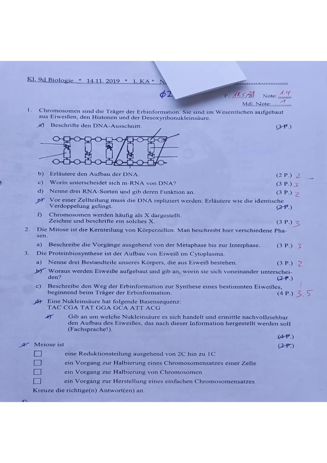 Kl. 9d Biologie* 14.11.2019 * 1. KA N
62
2.
3.
1. Chromosomen sind die Träger der Erbinformation. Sie sind im Wesentlichen aufgebaut
aus Eiw