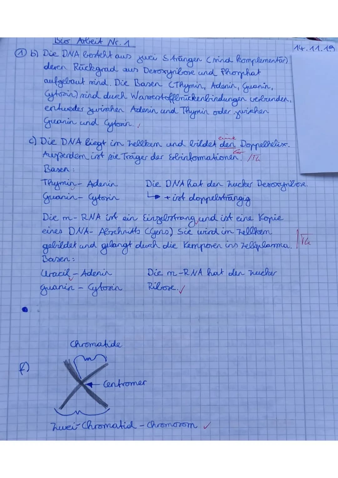 Kl. 9d Biologie* 14.11.2019 * 1. KA N
62
2.
3.
1. Chromosomen sind die Träger der Erbinformation. Sie sind im Wesentlichen aufgebaut
aus Eiw