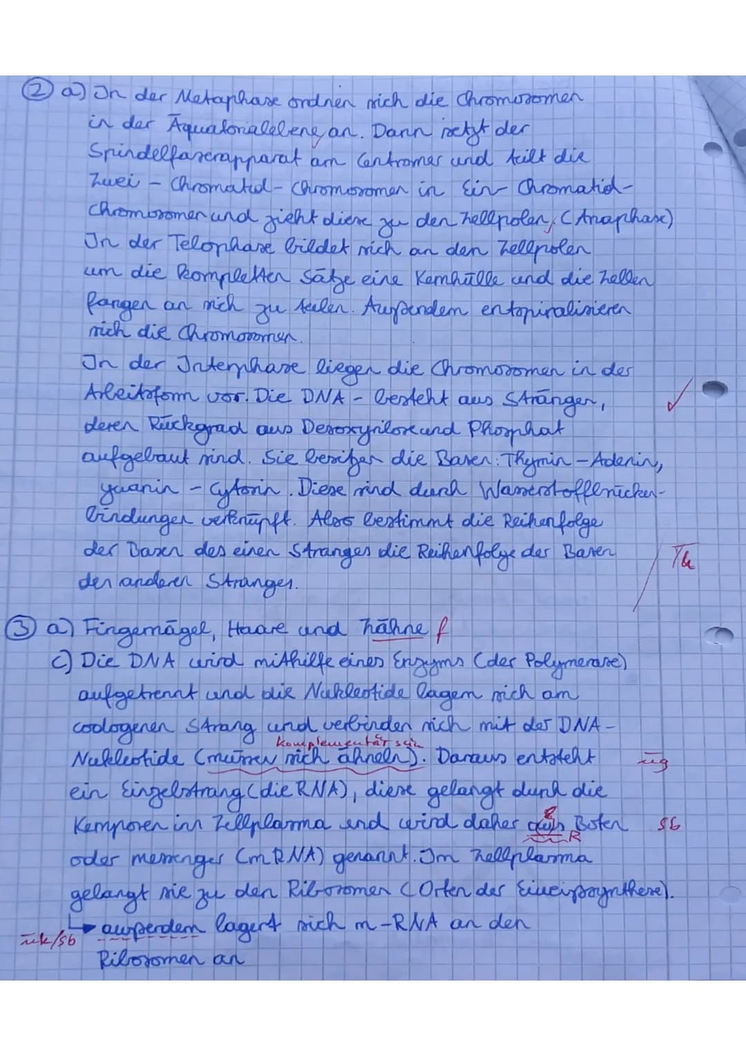 Kl. 9d Biologie* 14.11.2019 * 1. KA N
62
2.
3.
1. Chromosomen sind die Träger der Erbinformation. Sie sind im Wesentlichen aufgebaut
aus Eiw