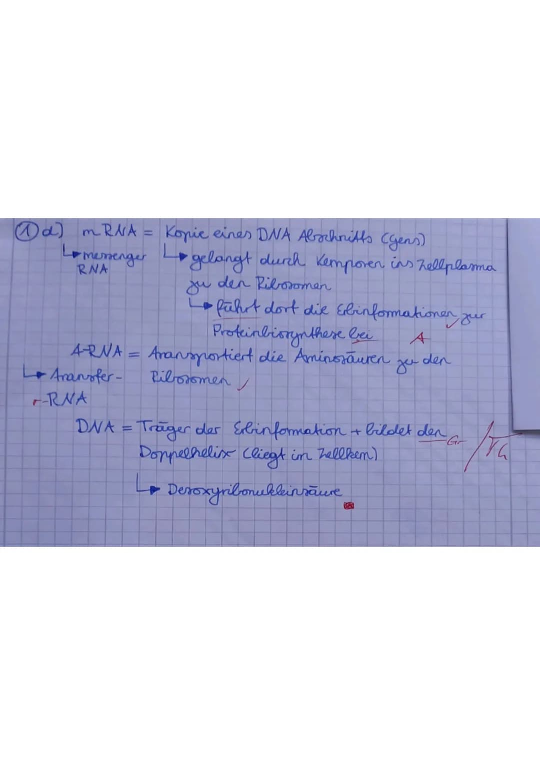 Kl. 9d Biologie* 14.11.2019 * 1. KA N
62
2.
3.
1. Chromosomen sind die Träger der Erbinformation. Sie sind im Wesentlichen aufgebaut
aus Eiw