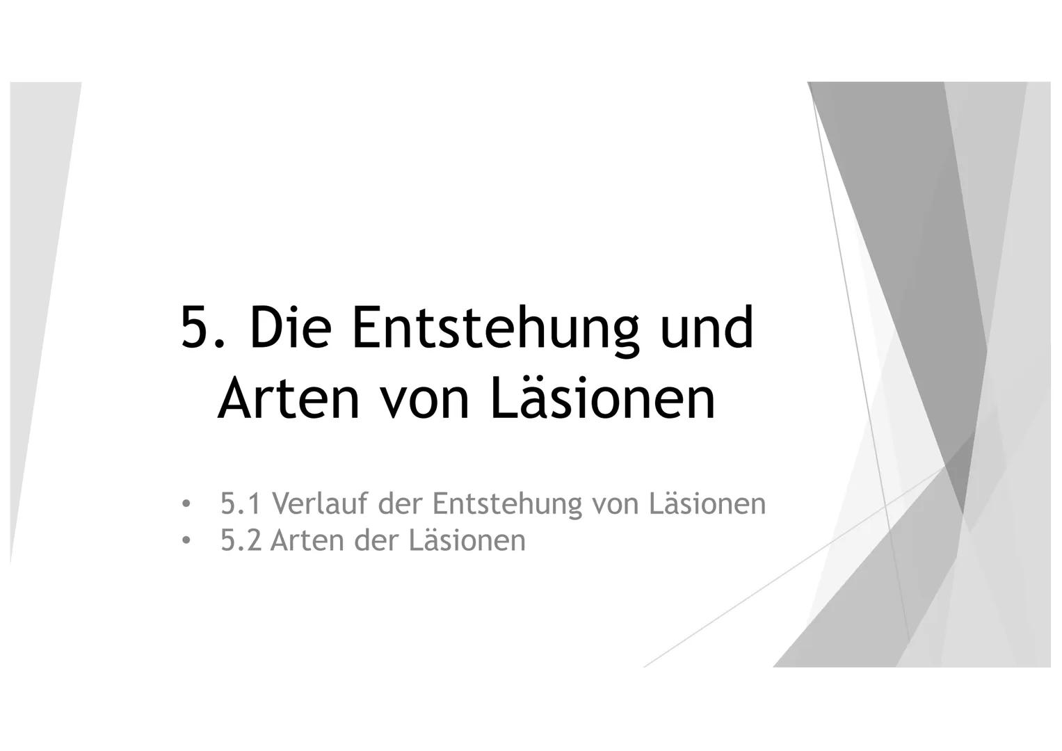 AKNE DIE GLIEDERUNG
1. DER EINSTIEG
2. GENERELLE INFORMATIONEN ZU AKNE
3.
4. DIE HAUT
5. DIE ENTSTEHUNG UND ARTEN VON LÄSIONEN
6.
DIE URSACH