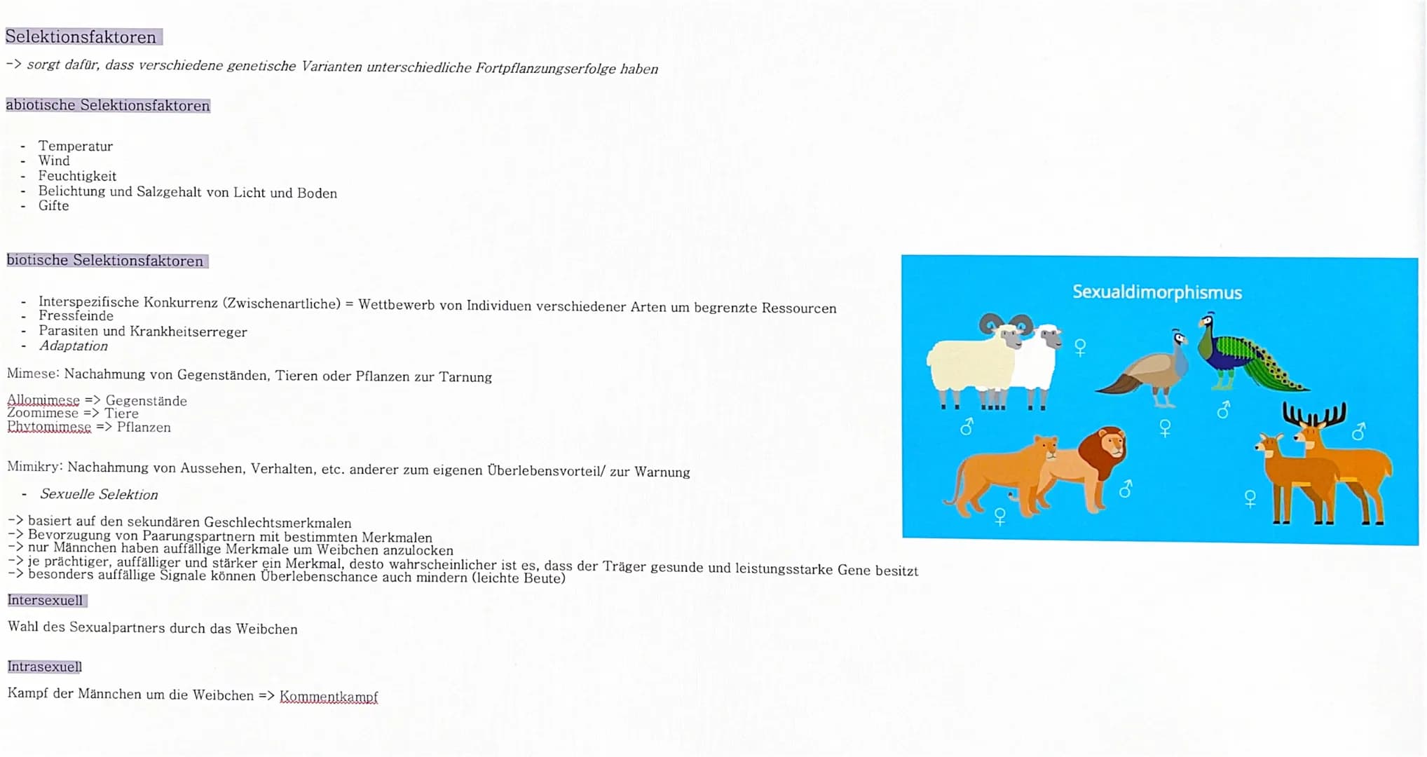 Selektion
Die Selektion ist die natürliche Auslese unter den Varianten, die durch Mutation und Rekombination entstanden sind.
spielt sich nu