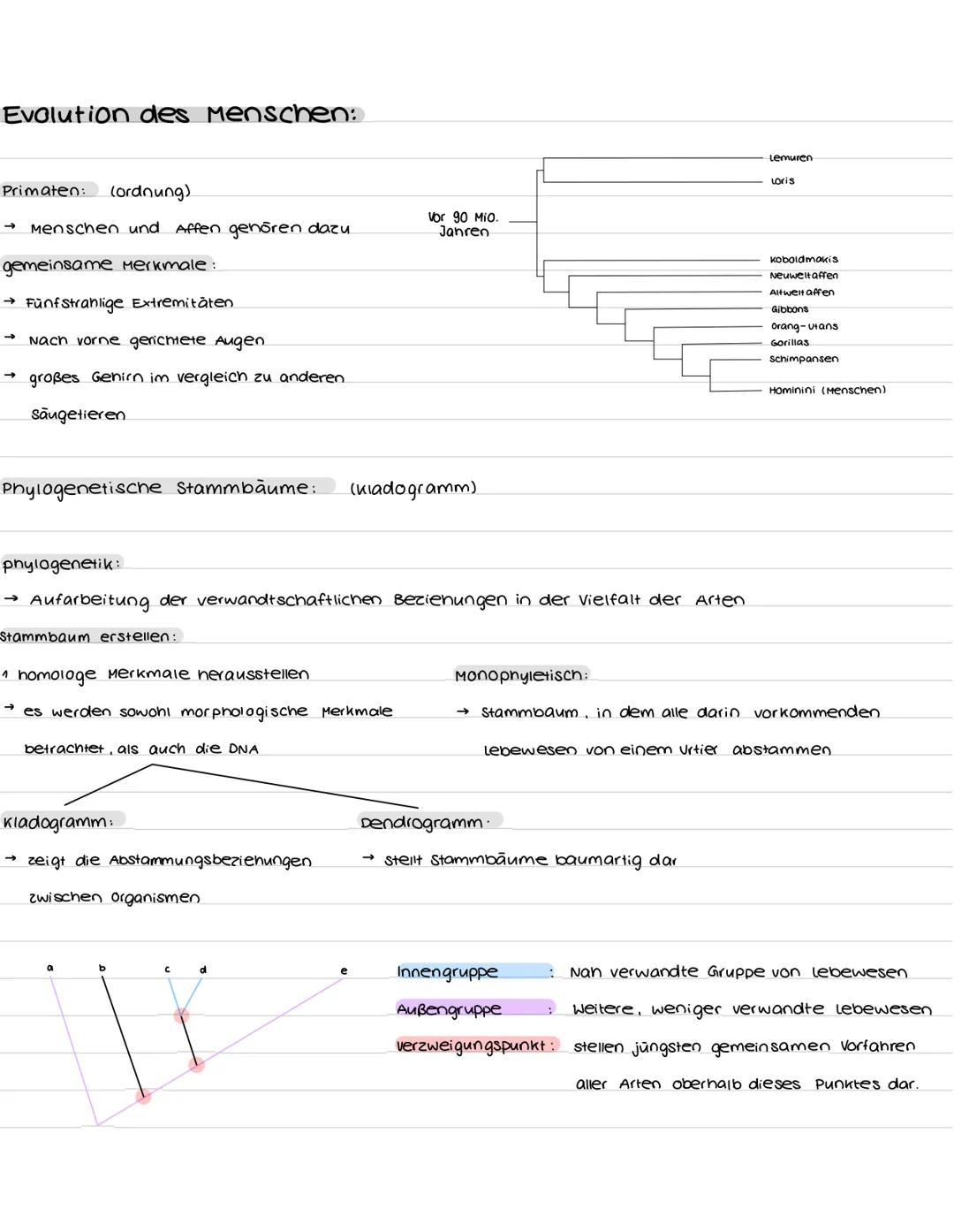 Aufbau und Funktion der Nervenzelle:
Synapsen
Bestandteile
Dendriten
zellkern
soma
Axonhügel
Axon
Hüllzelle
Nervenfaser
Endknöpfchen
soma
De