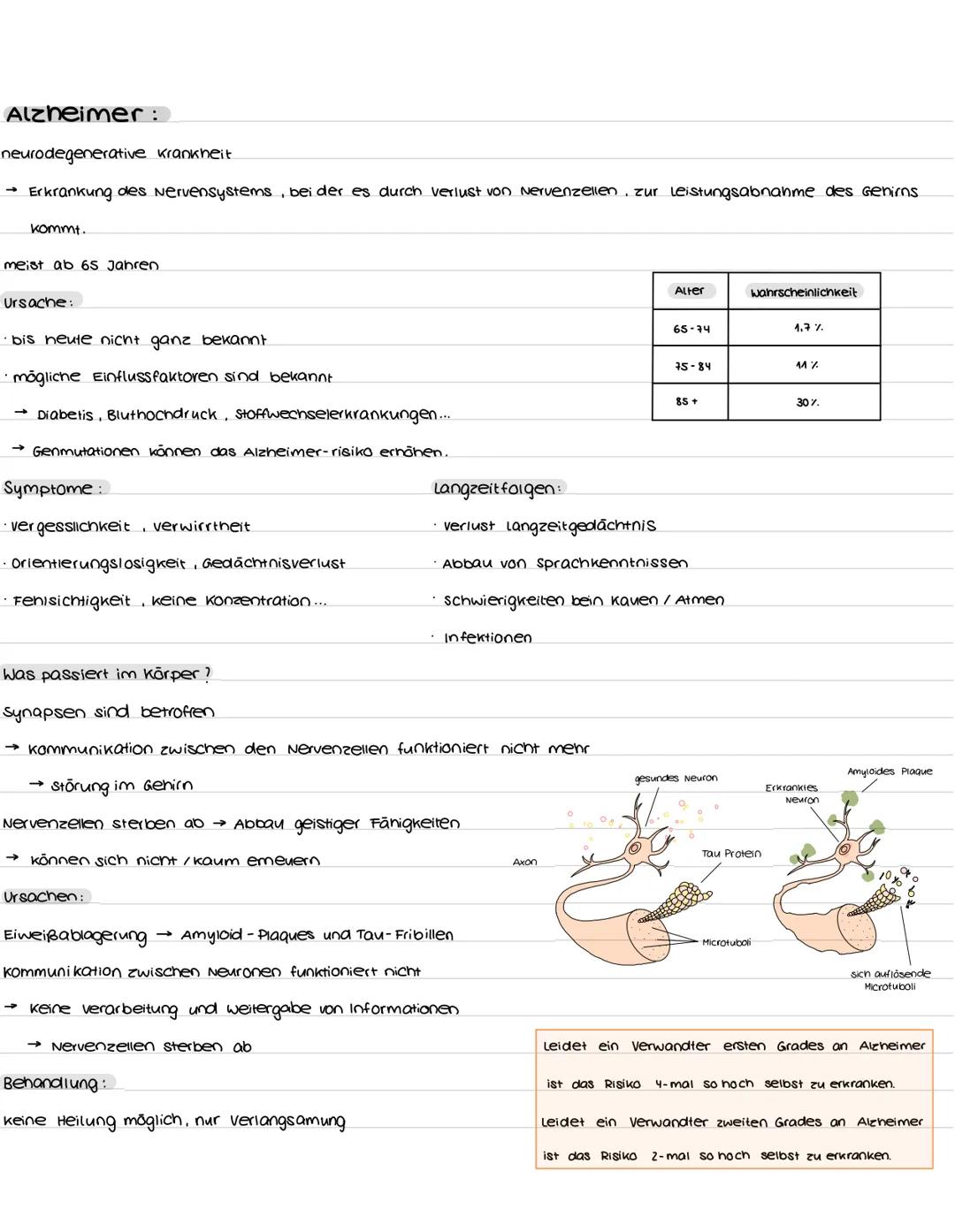 Aufbau und Funktion der Nervenzelle:
Synapsen
Bestandteile
Dendriten
zellkern
soma
Axonhügel
Axon
Hüllzelle
Nervenfaser
Endknöpfchen
soma
De