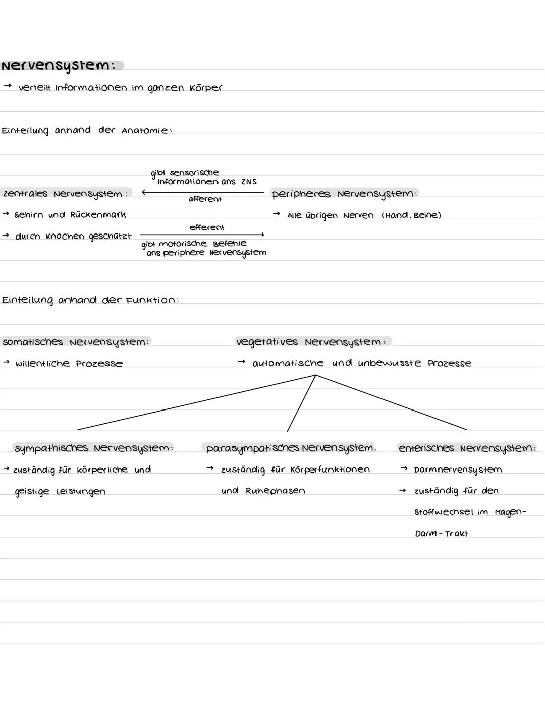 Aufbau und Funktion der Nervenzelle:
Synapsen
Bestandteile
Dendriten
zellkern
soma
Axonhügel
Axon
Hüllzelle
Nervenfaser
Endknöpfchen
soma
De