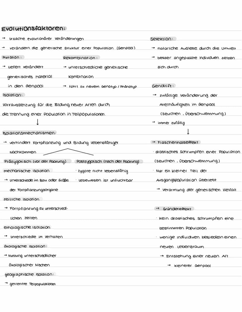 Aufbau und Funktion der Nervenzelle:
Synapsen
Bestandteile
Dendriten
zellkern
soma
Axonhügel
Axon
Hüllzelle
Nervenfaser
Endknöpfchen
soma
De