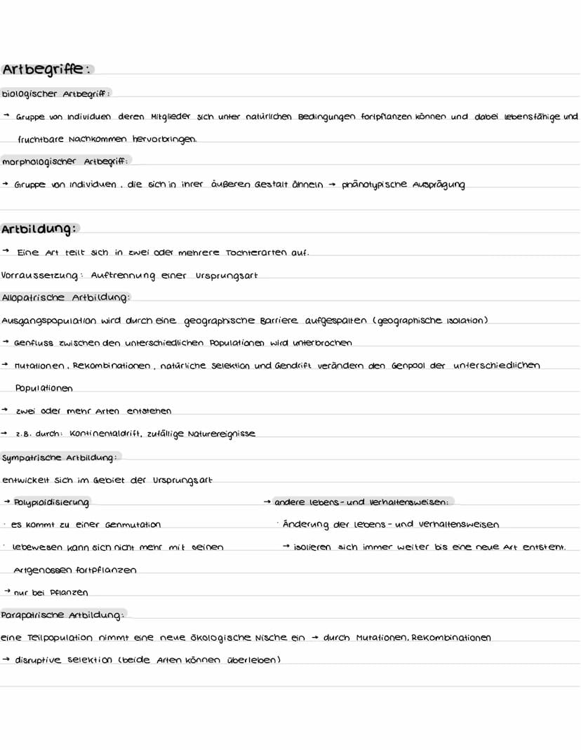 Aufbau und Funktion der Nervenzelle:
Synapsen
Bestandteile
Dendriten
zellkern
soma
Axonhügel
Axon
Hüllzelle
Nervenfaser
Endknöpfchen
soma
De