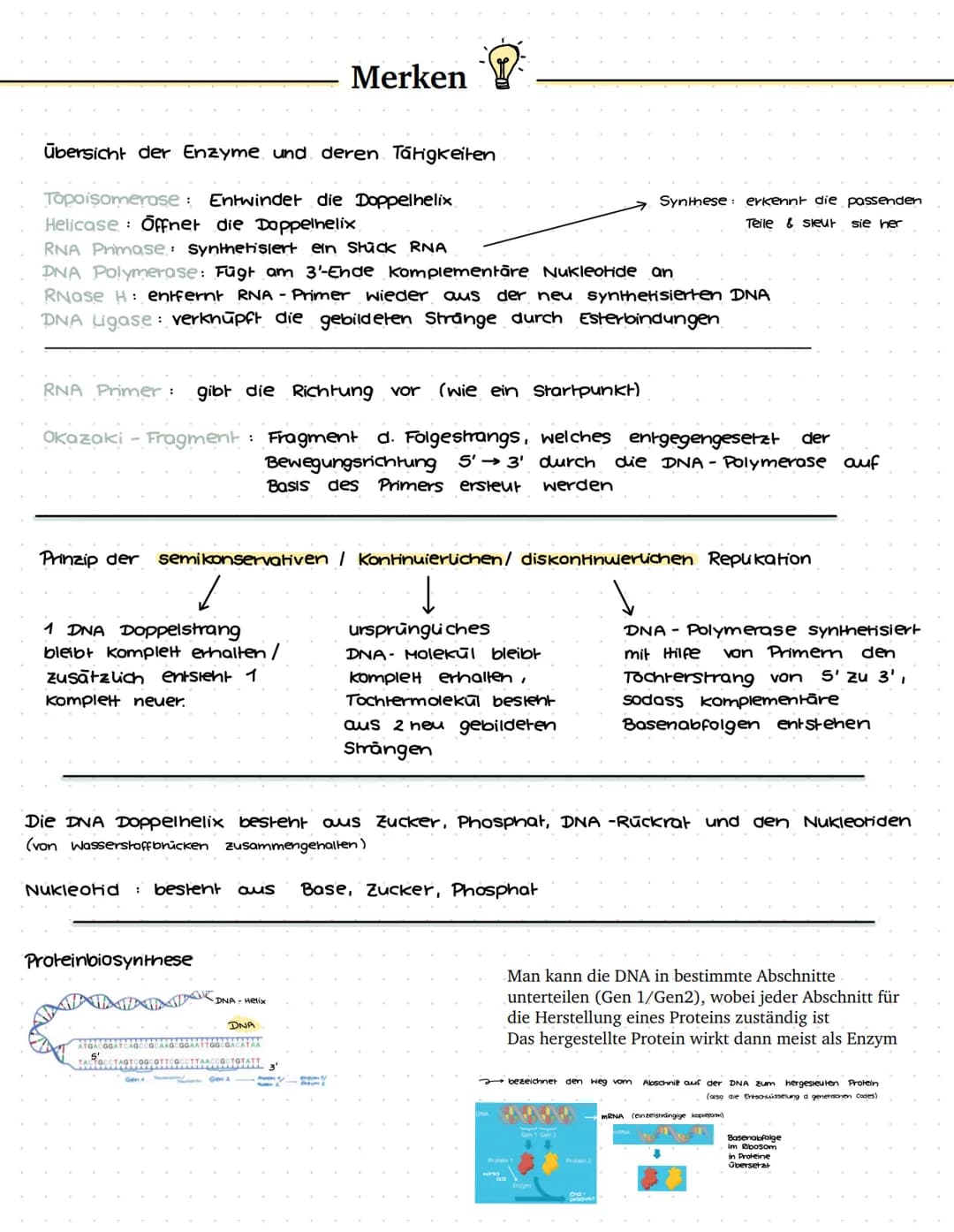 VON DER DNA ZUM PROTEIN - BIO LERNZETTEL Q1
1. Einführung in die Genetik
1.1 Chromosomen
ww
Verpackungsweise
Chromosom aus DNA
Erbinformatio