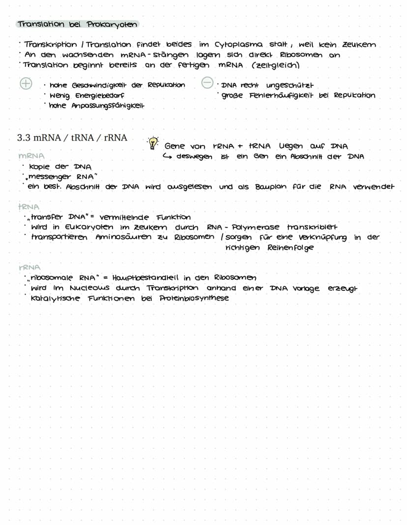 VON DER DNA ZUM PROTEIN - BIO LERNZETTEL Q1
1. Einführung in die Genetik
1.1 Chromosomen
ww
Verpackungsweise
Chromosom aus DNA
Erbinformatio