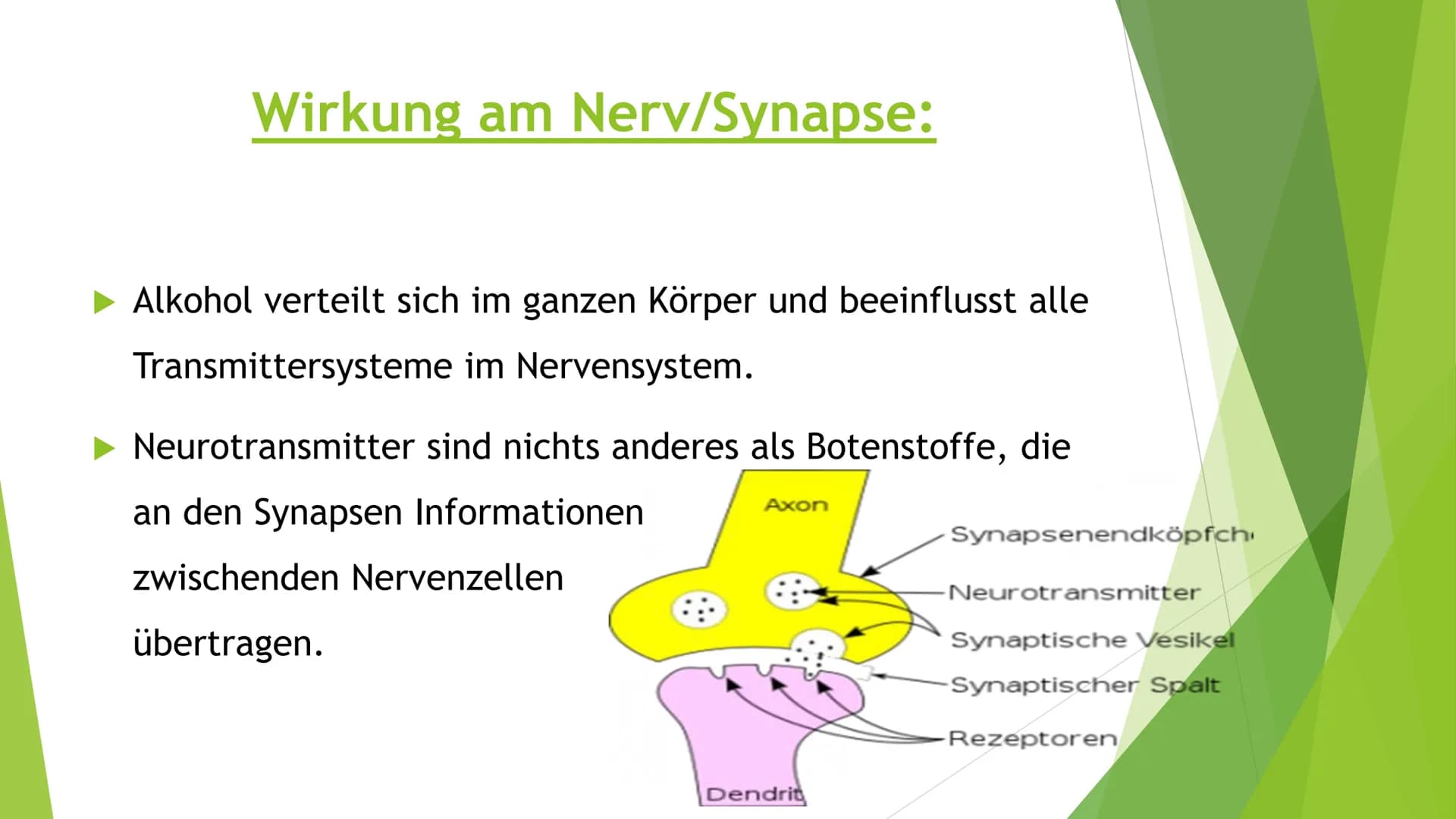 GE
de 20
19
Sewart
1537
13
F
THORKAT
Wie viel Alkohol
steckt in einem
Glas?
3,2 g
0,02 L
LIKÖR
ca. 20% vol.
5,1 g
0,02 L
KORN
ca. 32% vol.
6