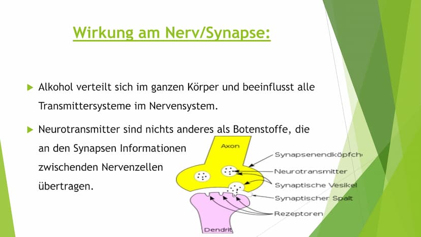 GE
de 20
19
Sewart
1537
13
F
THORKAT
Wie viel Alkohol
steckt in einem
Glas?
3,2 g
0,02 L
LIKÖR
ca. 20% vol.
5,1 g
0,02 L
KORN
ca. 32% vol.
6