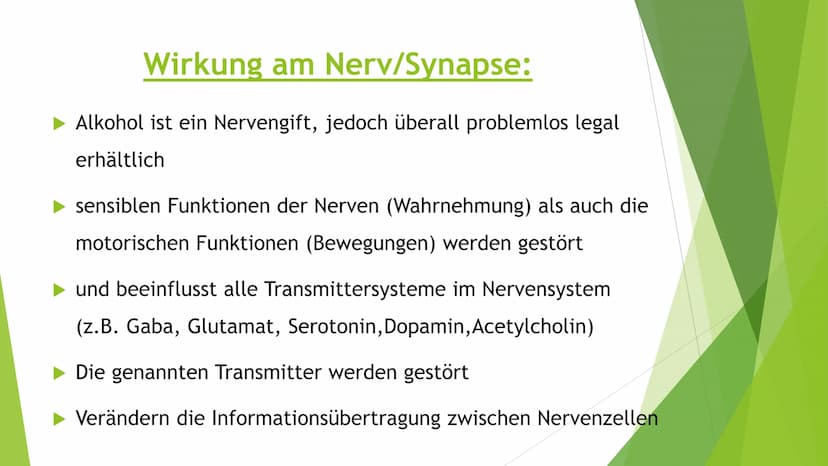 GE
de 20
19
Sewart
1537
13
F
THORKAT
Wie viel Alkohol
steckt in einem
Glas?
3,2 g
0,02 L
LIKÖR
ca. 20% vol.
5,1 g
0,02 L
KORN
ca. 32% vol.
6