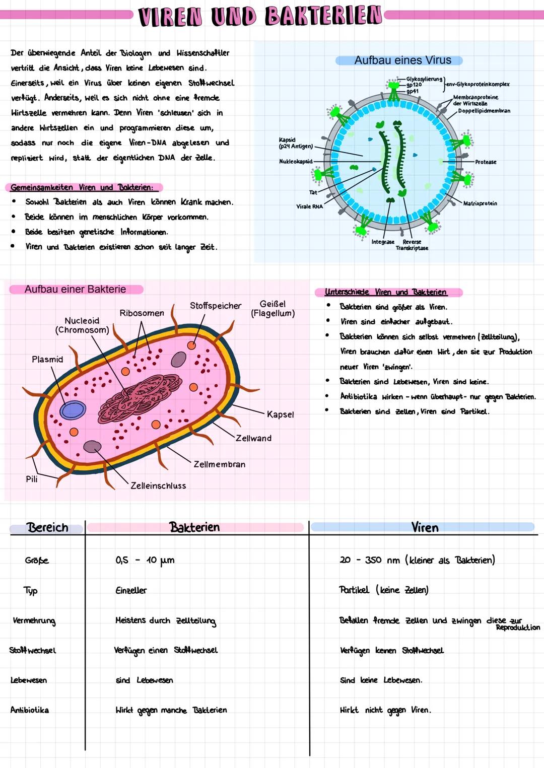 Der überwiegende Anteil der Biologen und Wissenschaftler
vertritt die Ansicht, dass Viren keine Lebewesen sind.
Einerseits, weil ein Virus ü
