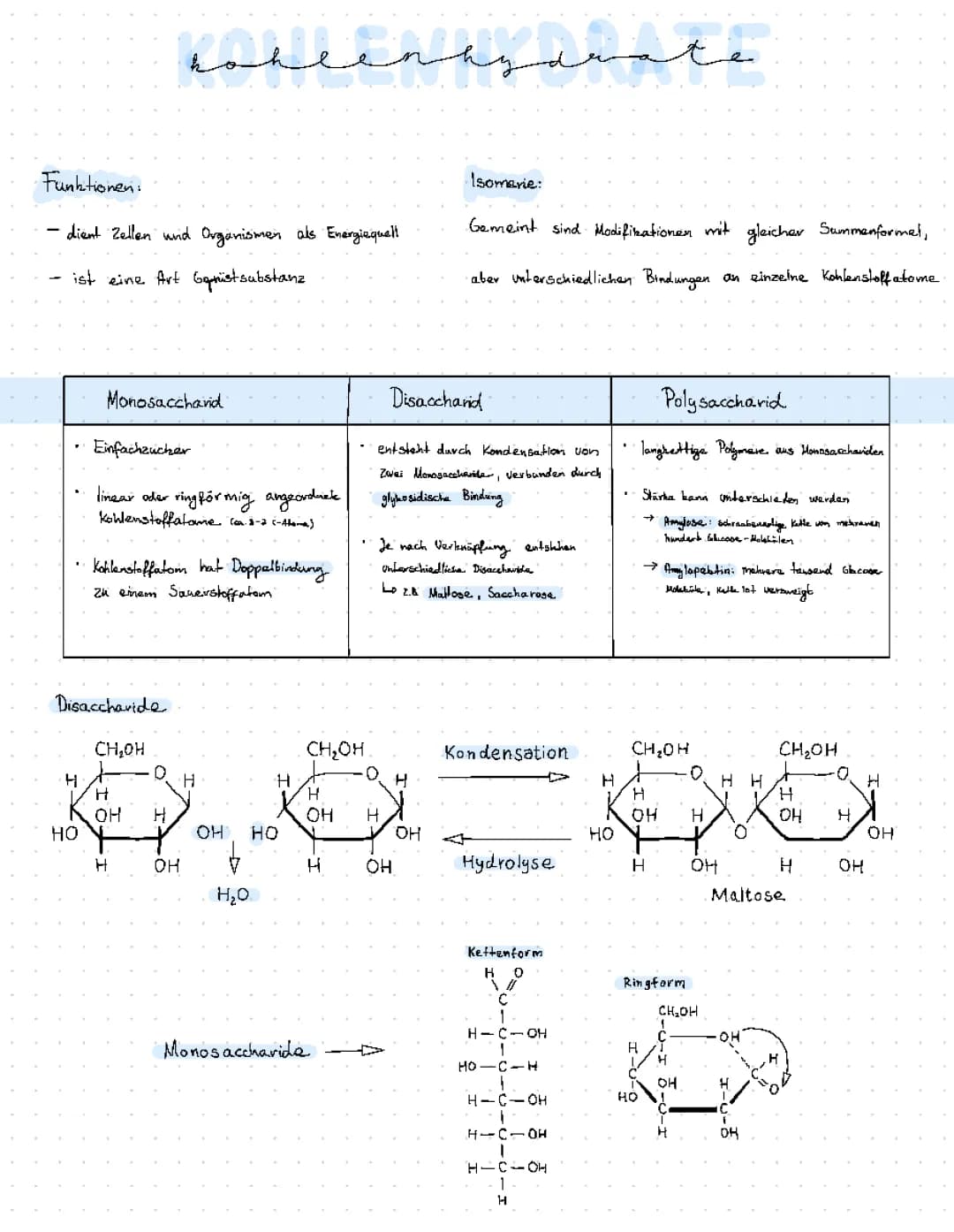 Kohlenhydrate 