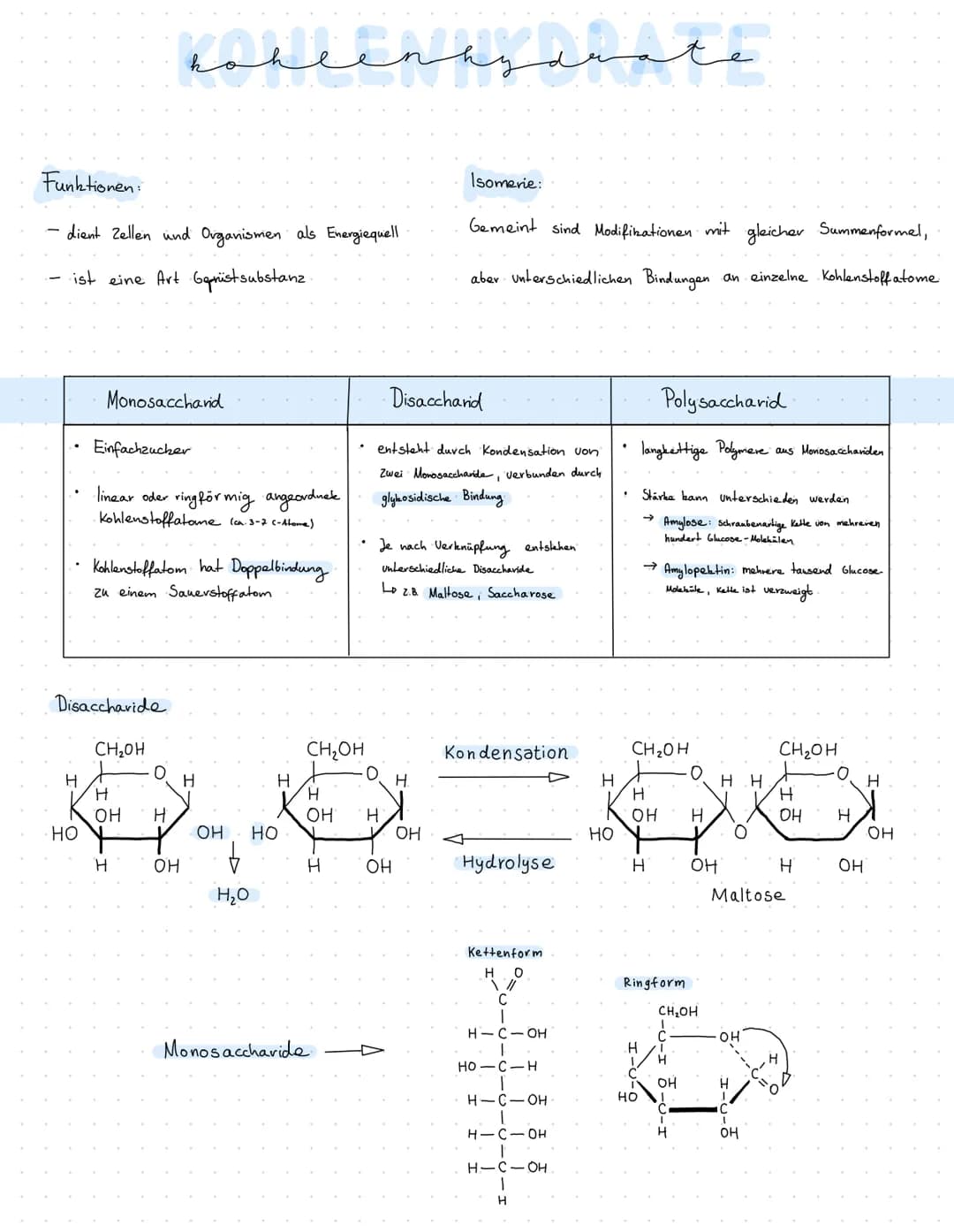 Funktionen:
- dient Zellen und Organismen als Energiequell
- ist eine Art Gerüstsubstanz.
H
HO
Monosacchand
Disaccharide
Einfachzucher
·line