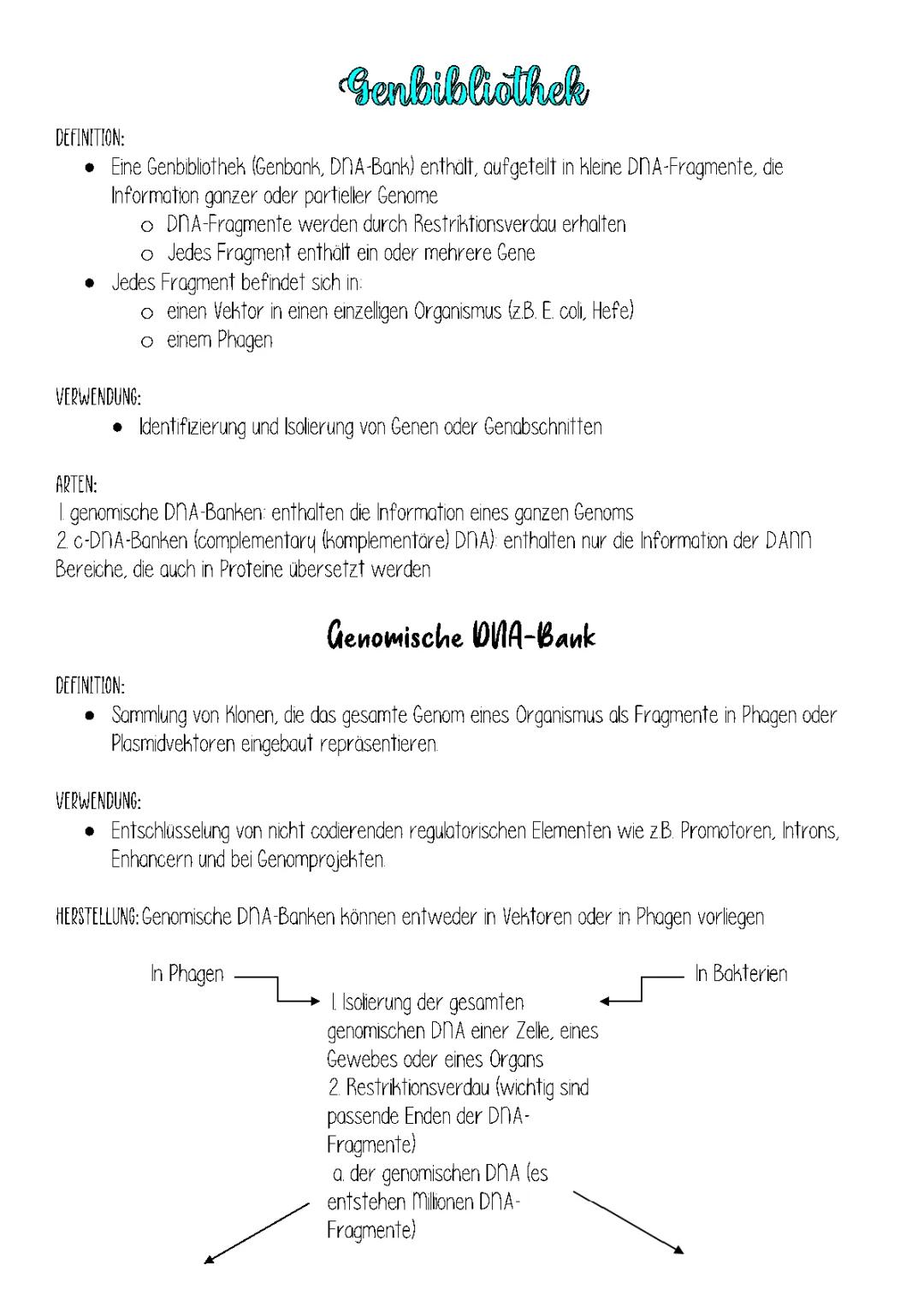 Genbibliothek und Klonierung einfach erklärt: cDNA-Bibliothek, NCBI GenBank, PCR & Protokolle