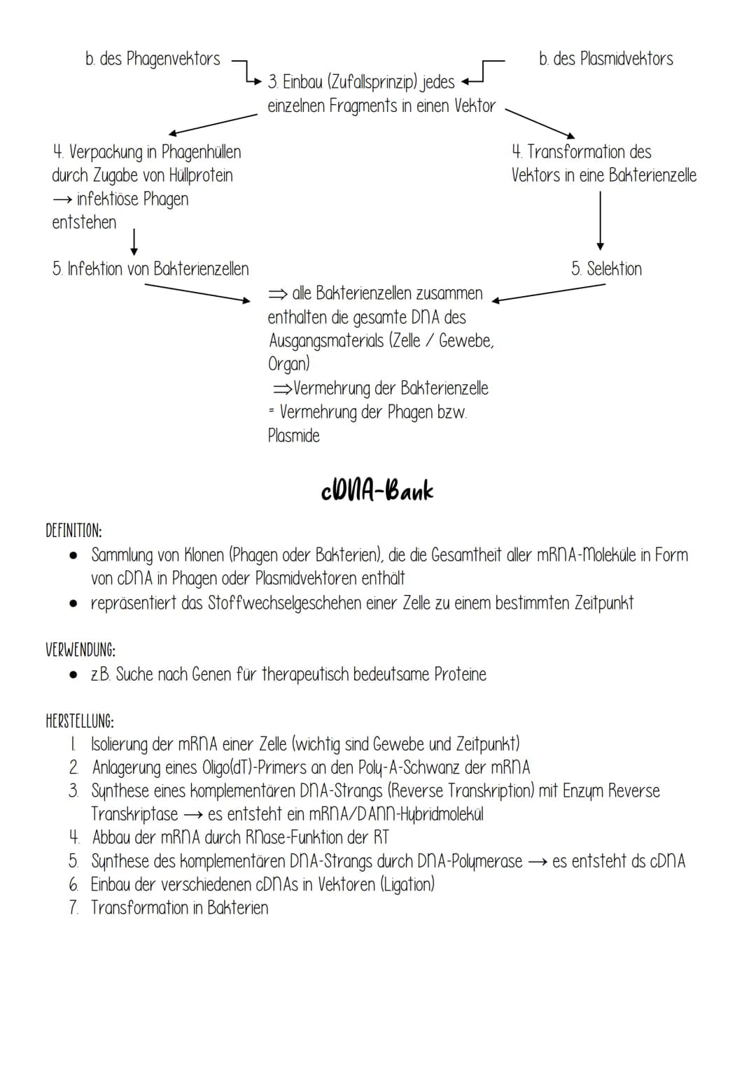 DEFINITION:
• Eine Genbibliothek (Genbank, DNA-Bank) enthält, aufgeteilt in kleine DNA-Fragmente, die
Information ganzer oder partieller Gen