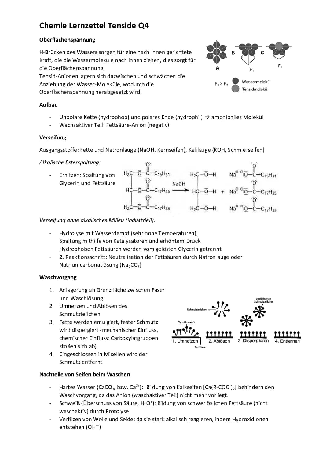 Lernzettel Tenside Q4 Hessen Abitur Chemie LK