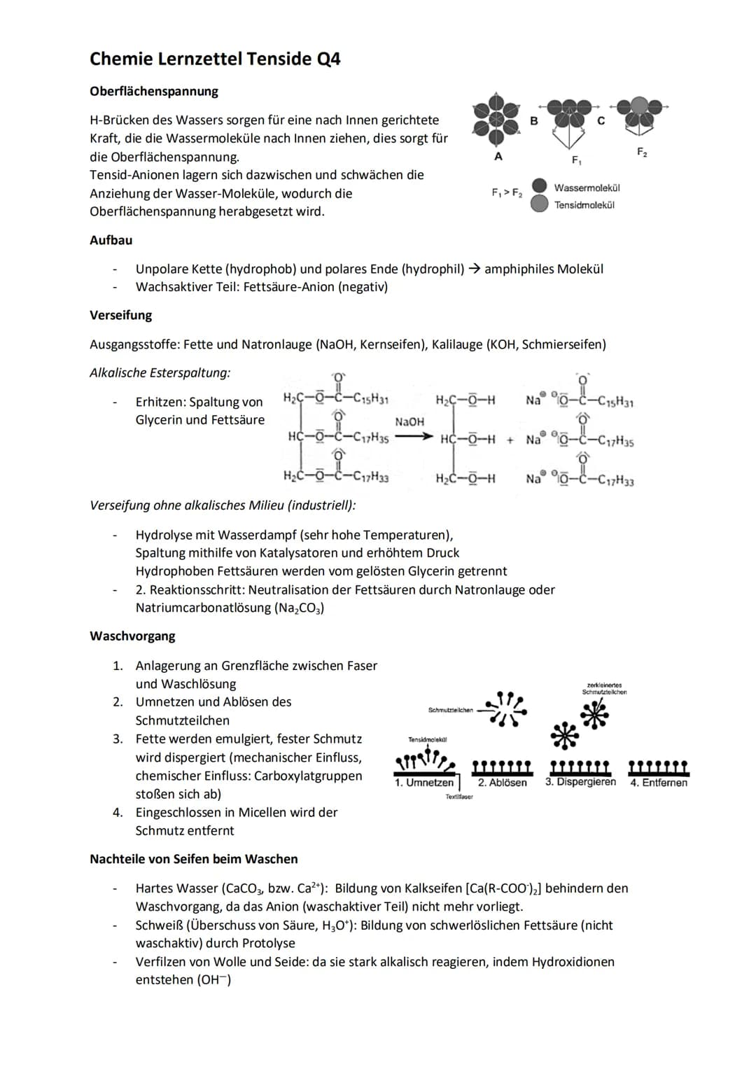 Chemie Lernzettel Tenside Q4
Oberflächenspannung
H-Brücken des Wassers sorgen für eine nach Innen gerichtete
Kraft, die die Wassermoleküle n