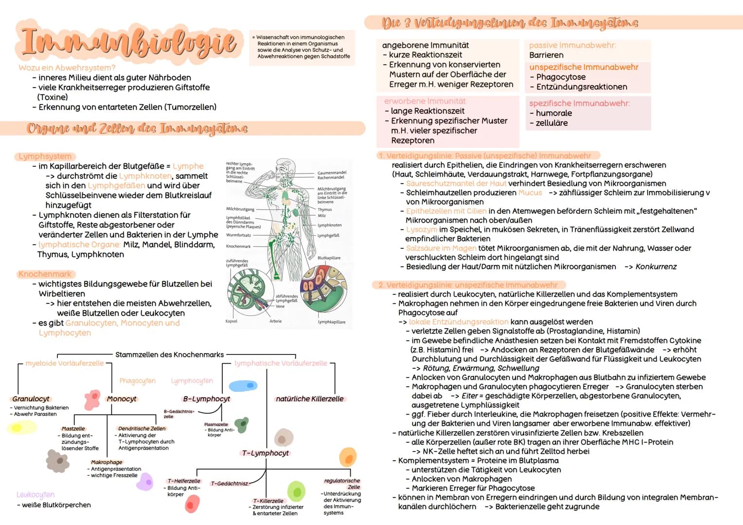 Immunbiologie
Wozu ein Abwehrsystem?
- inneres Milieu dient als guter Nährboden
- viele Krankheitserreger produzieren Giftstoffe
(Toxine)
- 