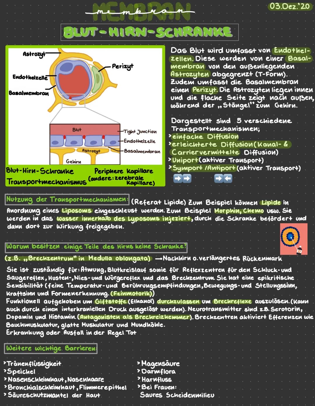 Astrozyt
Endothelzelle
Basalmembran
membran
BLUT-HIRN-SCHRANKE
Blut
Gehirn
Astrozyt
>Tränenflüssigkeit.
>Speichel
-Perizyt
+Tight Junction
+