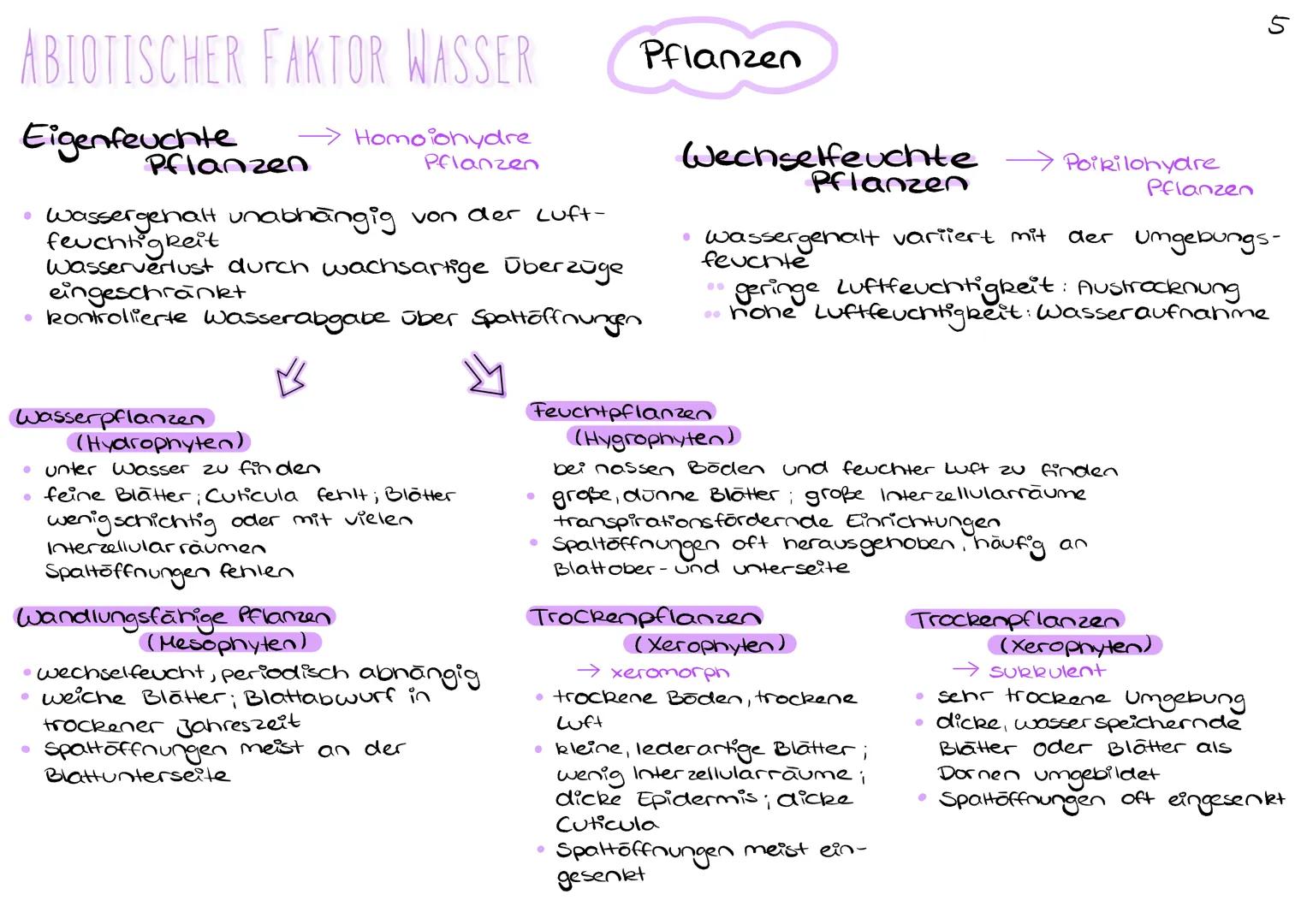 # ABIOTISCHER FAKTOR WASSER

# Pflanzen

5

Eigenfeuchte
Pflanzen

→ Homoionydre
Pflanzen

*   Wassergehalt unabhängig von der Luft-
    feu