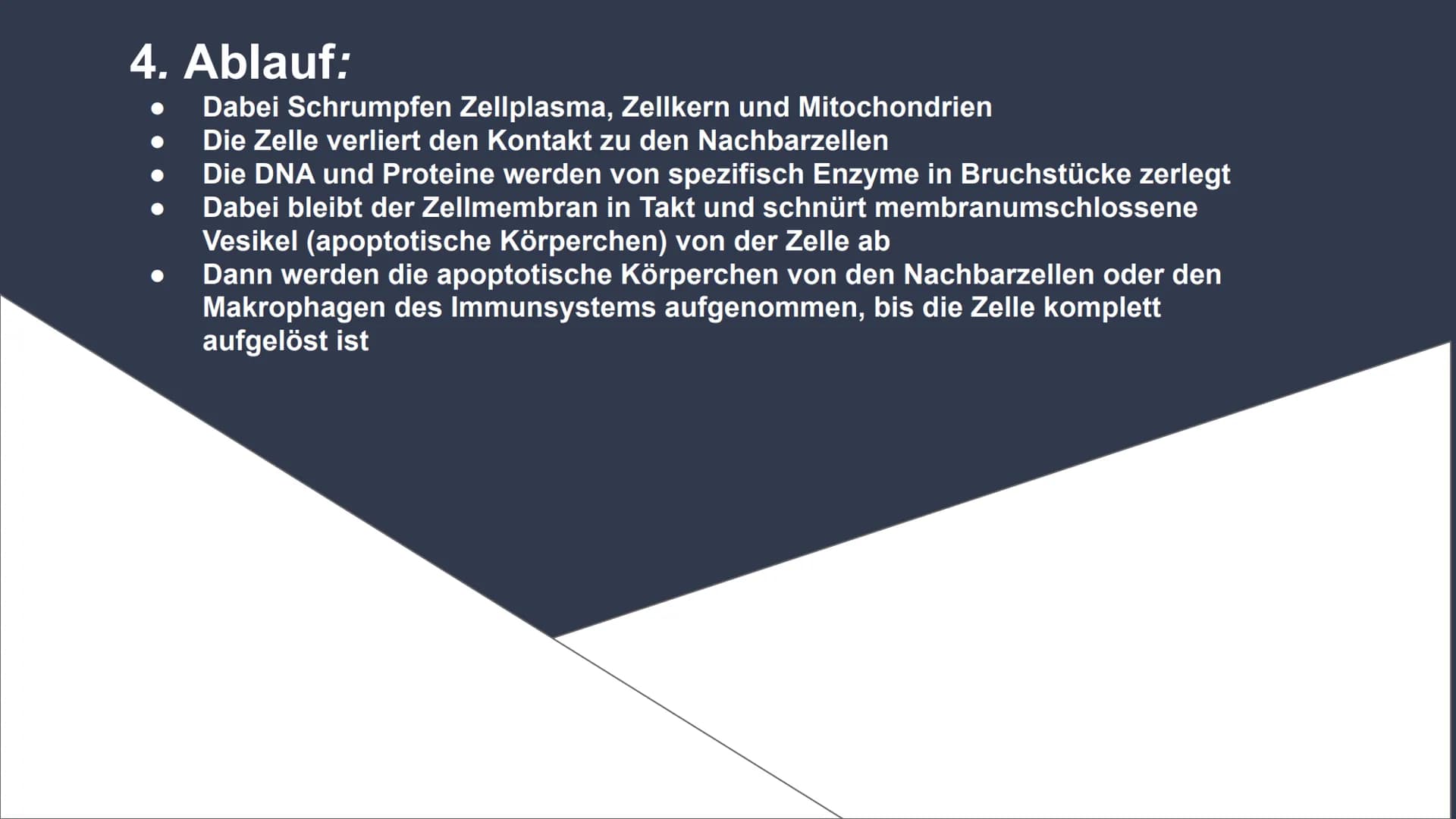 Apoptose
Genetisch Programmierter Zelltod Inhalt:
1. Zelltod
2. Apoptose und Nekrose im Vergleich
Schaubild 1.
3. Apoptose
4. Ablauf
Schaubi