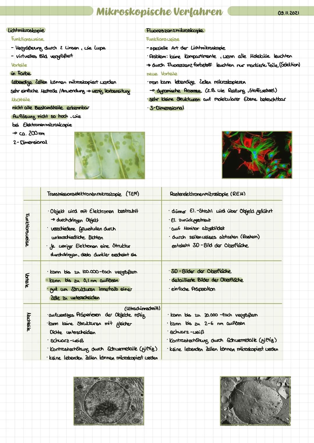 Mikroskopie, Zellaufbau und Endosymbiontentheorie