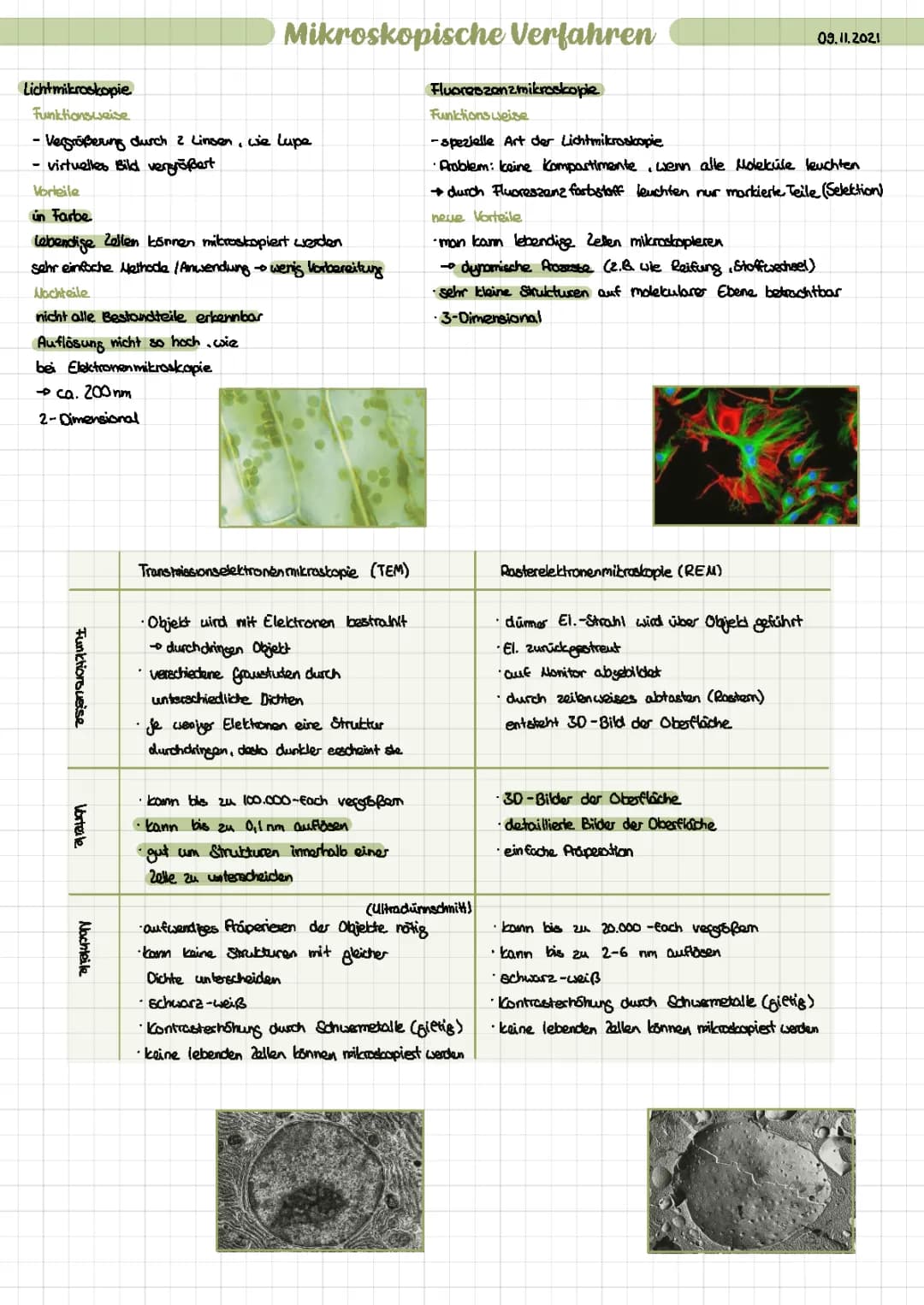 Mikroskopie, Zellaufbau und Endosymbiontentheorie