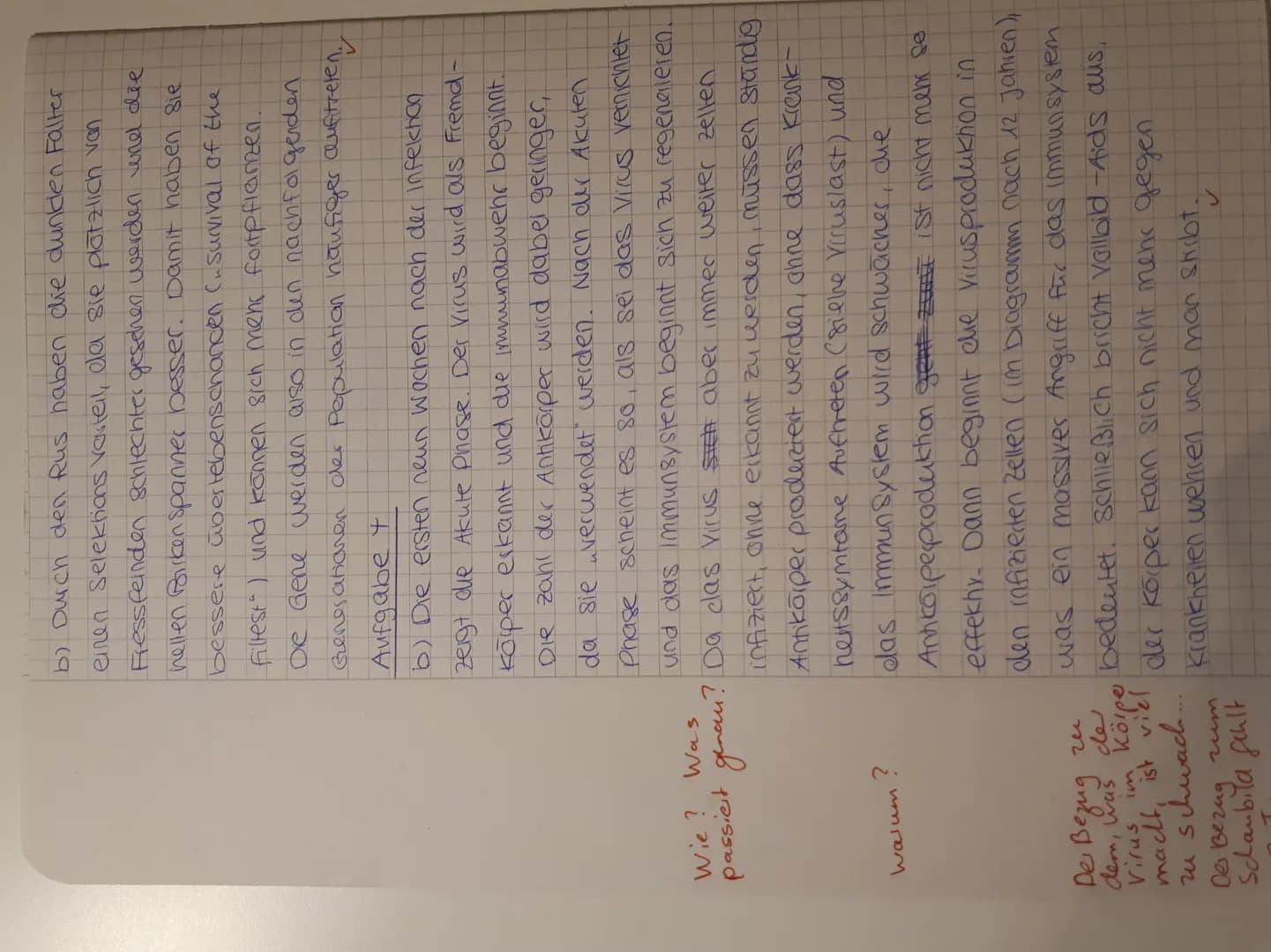 Klausur 1 -K2
Aufgabe 2
a) Ringelblume - Bild 1
b)
Echte kamille - Bild 2
<
く
Aufgabe 3
a) Es handelt sich um einen Virus, da die DNA frei
i