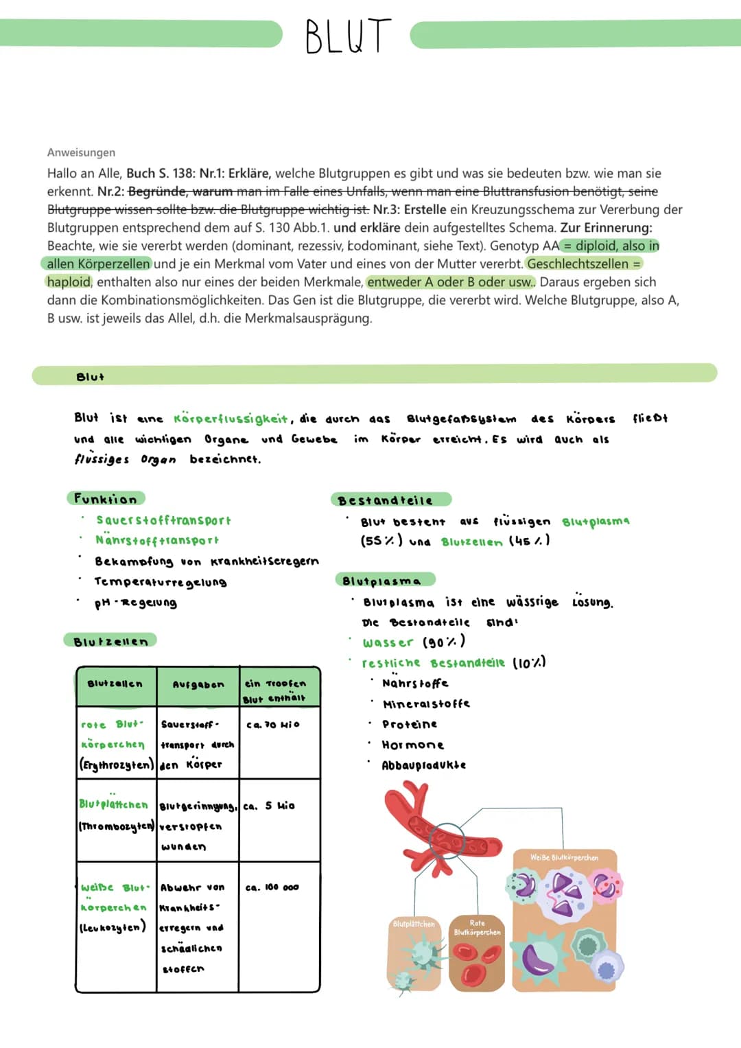 Anweisungen
Hallo an Alle, Buch S. 138: Nr.1: Erkläre, welche Blutgruppen es gibt und was sie bedeuten bzw. wie man sie
erkennt. Nr.2: Begrü