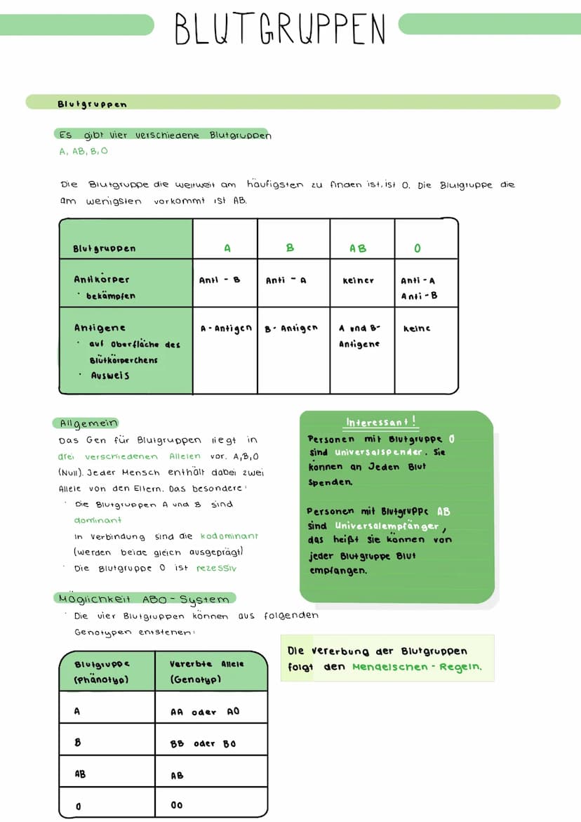 Anweisungen
Hallo an Alle, Buch S. 138: Nr.1: Erkläre, welche Blutgruppen es gibt und was sie bedeuten bzw. wie man sie
erkennt. Nr.2: Begrü