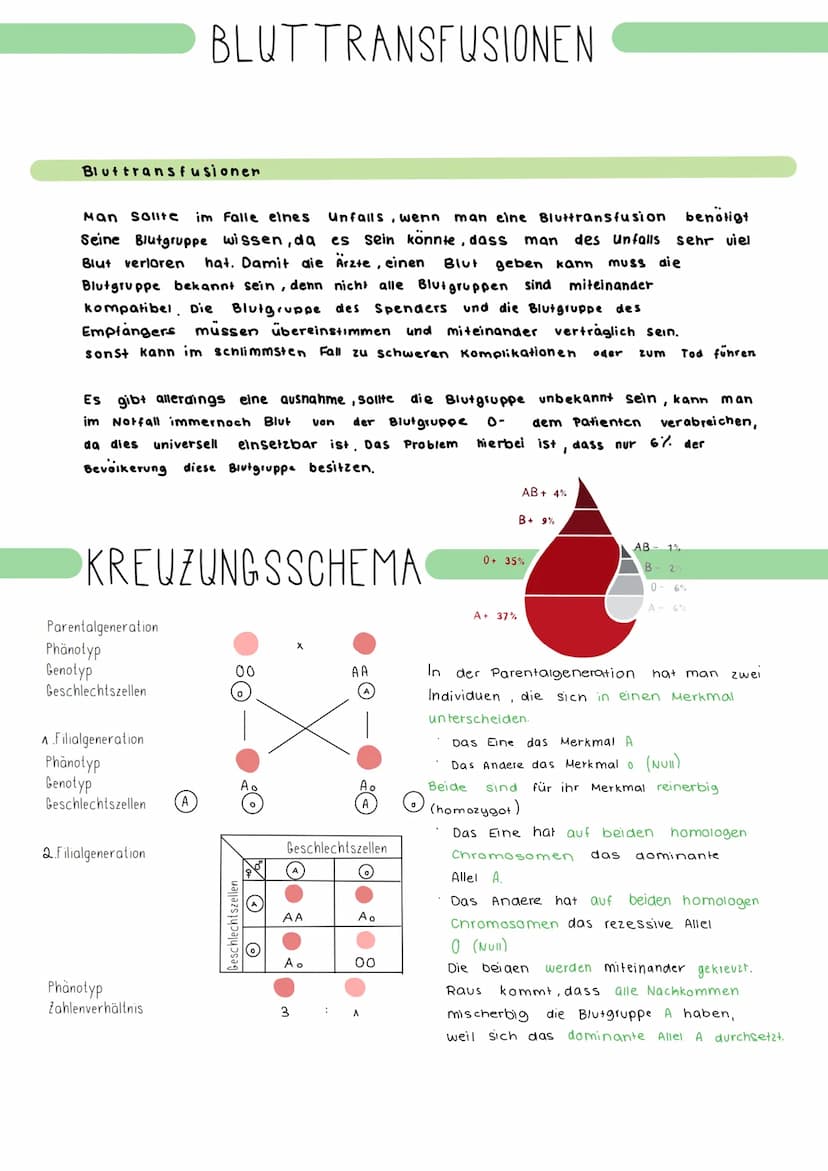 Anweisungen
Hallo an Alle, Buch S. 138: Nr.1: Erkläre, welche Blutgruppen es gibt und was sie bedeuten bzw. wie man sie
erkennt. Nr.2: Begrü