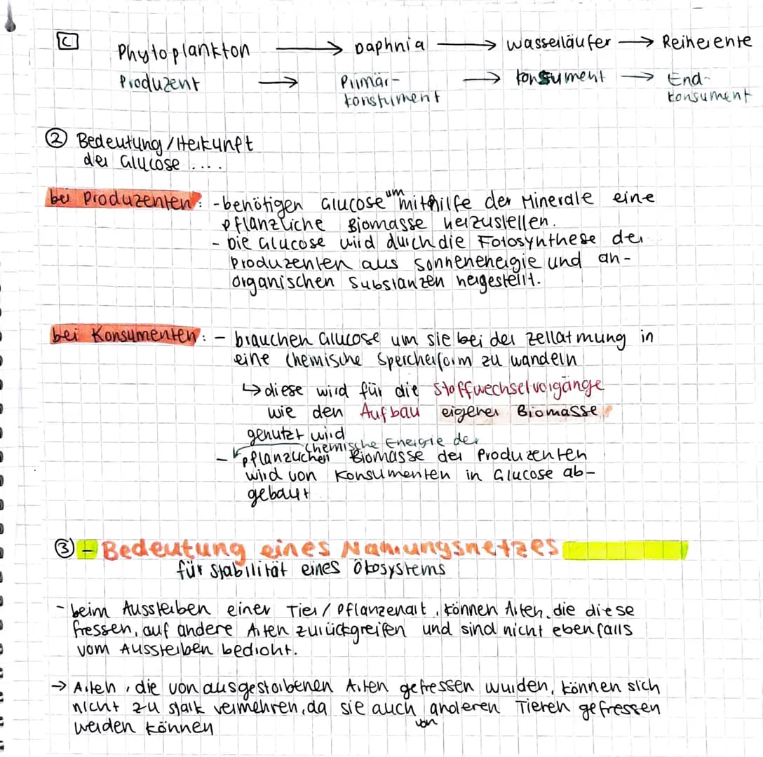 9
FRINNEN T
Nahrungskete
7)
Produzent
-Pflanzen & foto-
Synthese fähige
Einzeller
produzieren
Glucose durch
Fotosynthese
Glucose
+
Mineralst