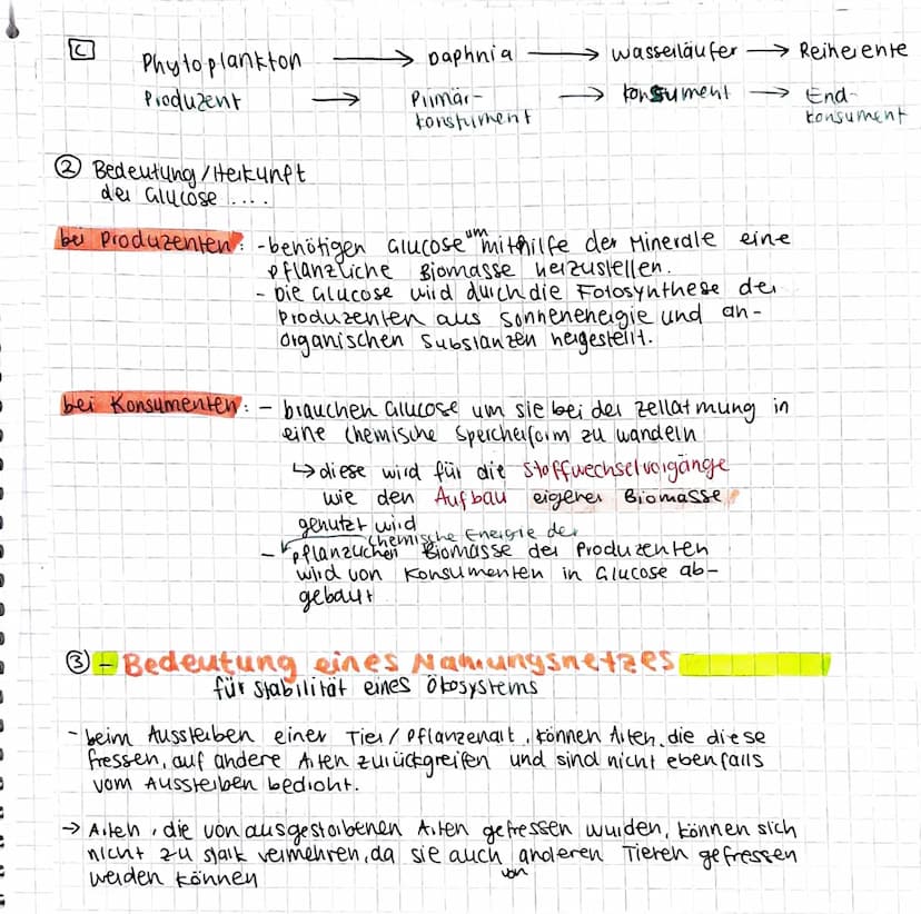 9
FRINNEN T
Nahrungskete
7)
Produzent
-Pflanzen & foto-
Synthese fähige
Einzeller
produzieren
Glucose durch
Fotosynthese
Glucose
+
Mineralst