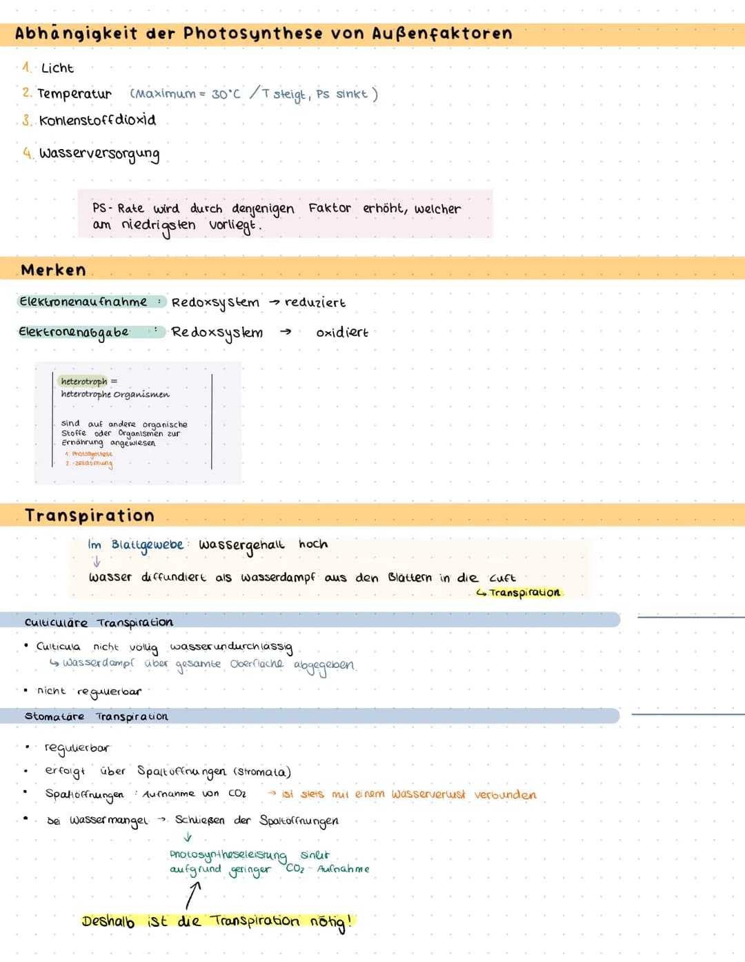 Bau und Funktion des Blattes
Culticula
obere Epidermis
verdickten Zellwände
und enge Zellverbindung
Palisaden parenchym
Schwammparenchym
Sch