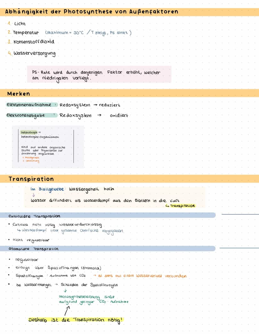 Bau und Funktion des Blattes
Culticula
obere Epidermis
verdickten Zellwände
und enge Zellverbindung
Palisaden parenchym
Schwammparenchym
Sch