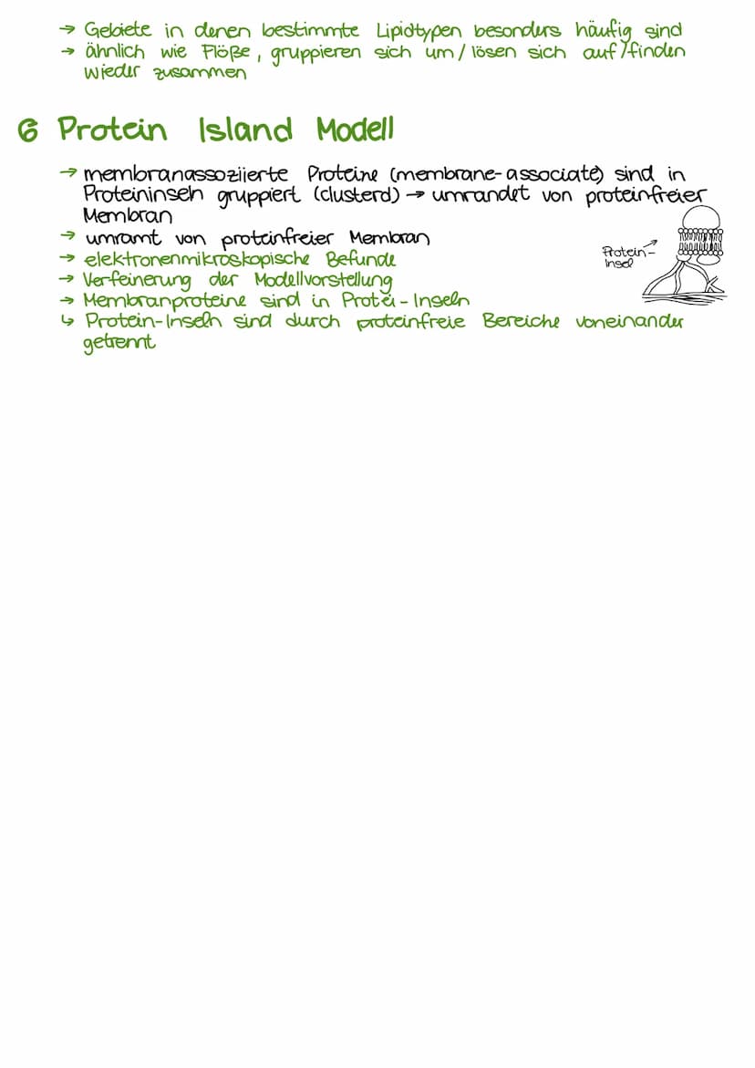 BIOMEMBRAN/BIOCHEMIE
Schwanz-
region
unpolar/
hydrophob
(wasserhassend)
Monosaccharide
→3-7 C- Athome
(Kohlenstoff)
→ Ring-/Kettenform
→ Res