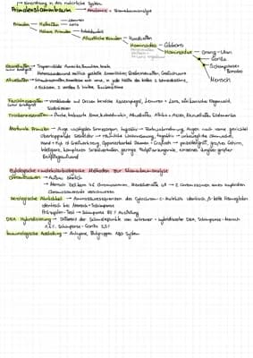 Know Menschliche Evolution Zusammenfassung  thumbnail