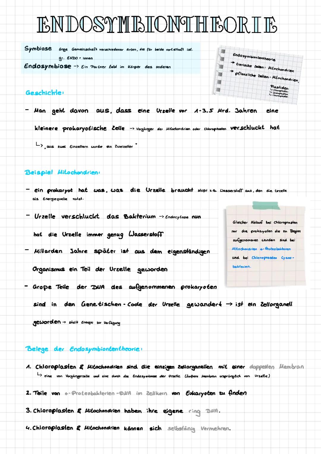 Endosymbiontentheorie 